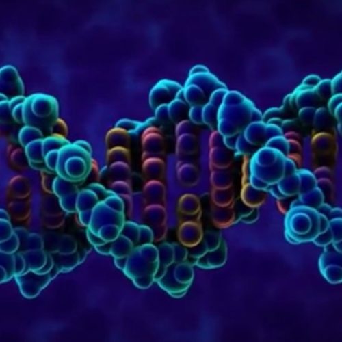 GENES AND ENVIRONMENT