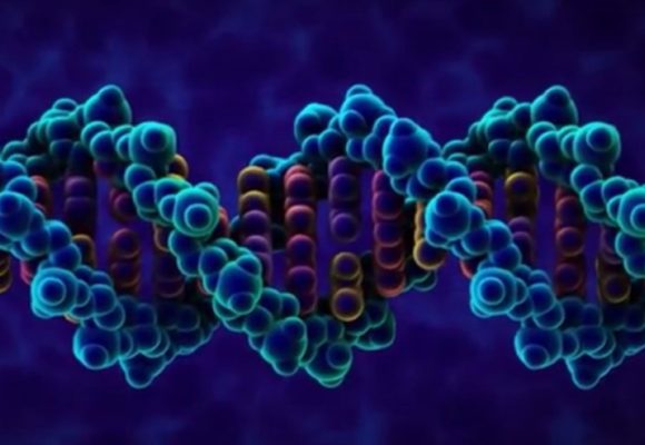 GENES AND ENVIRONMENT