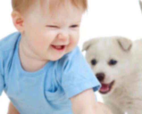 ANIMALS THAT PROTECT YOU FROM ALLERGY