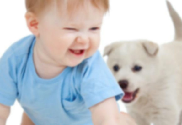 ANIMALS THAT PROTECT YOU FROM ALLERGY