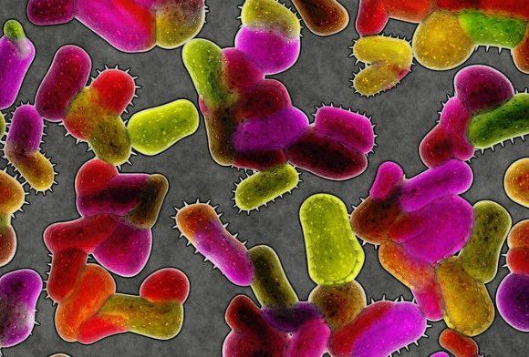 THE USEFULNESS OF GERMS