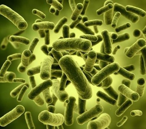 STRATEGIES AGAINST GERMS