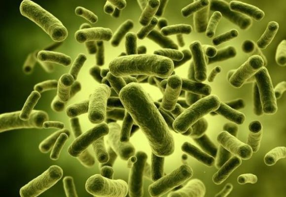 STRATEGIES AGAINST GERMS