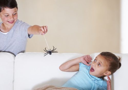 FEAR OF SNAKES AND SPIDERS