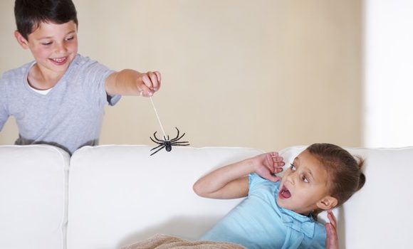 FEAR OF SNAKES AND SPIDERS